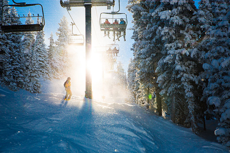 forgiving all mountain skis